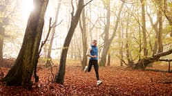 Bestzeit laufen im Herbst