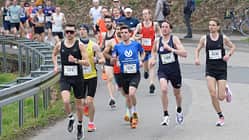 Bienwald-Marathon Kandel 2024
