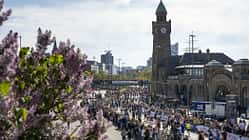 Marathon Hamburg 2024