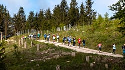 Rennsteiglauf Schmiedefeld 2025