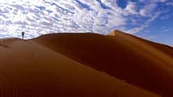 100 km of Namib Desert: Durch die berühmten roten Dünen von Namibia