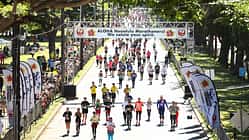 Honolulu Marathon 2019