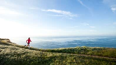 Trainingsplan Marathon unter 4:00 Stunden