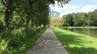 Langer Lauf in der Marathonvorbereitung