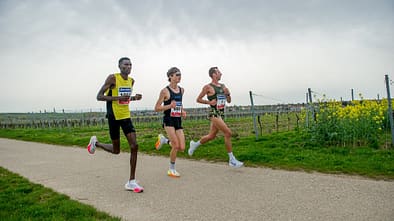 Marathon Deutsche Weinstraße Bockenheim 2024