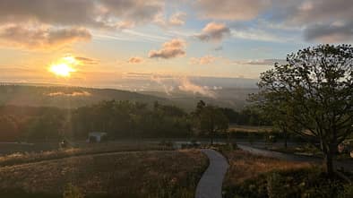 RUNNER'S WORLD Camp WALD.WEIT im Rheingau