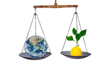 Eine Waage mit einer Weltkugel in der einen und einer Zitrone in der anderen Schale: Gesunde Ernährung und Umweltschutz im Gleichgewicht.