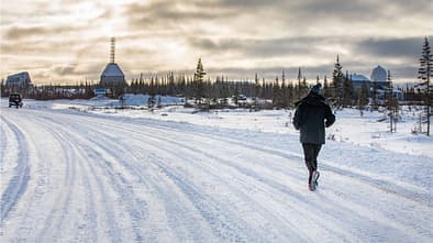 Polar Bear-Marathon Churchill 2019