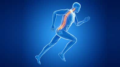 Die Wirbelsäule beim Laufen. 