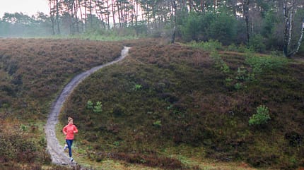 Nele in der Heide Nele in der Heide