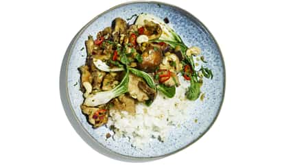 Läuferküche Pilze Rezepte Pilzgericht