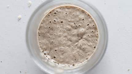 Sauerteig Sauerteig