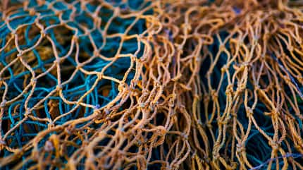 Close up of discarded fishing nets Close up of discarded fishing nets