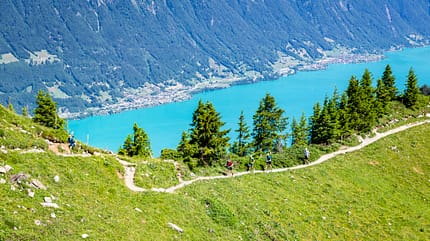 Eiger Ultra Trail 2023