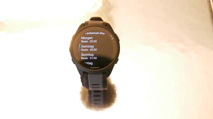 Garmin Forerunner 165 Garmin Forerunner 165