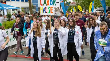 Firmenlauf Homburg 2024