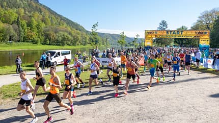 Königstein,OberelbeMarathon2024,Start Oberelbe Marathon 2024