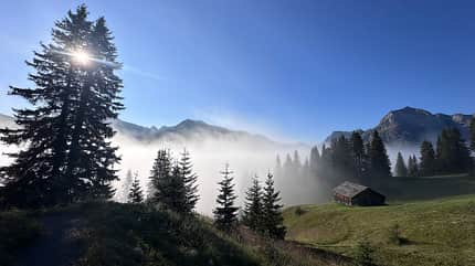 Lech Lech