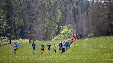Rennsteiglauf Schmiedefeld Rennsteiglauf Schmiedefeld