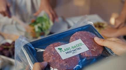 Pflanzliche Burgerpatties