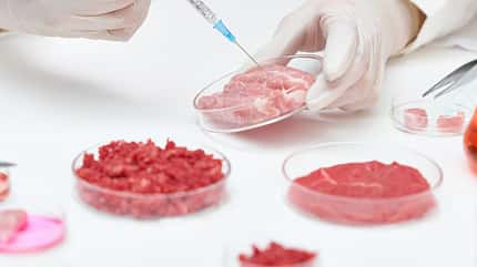 Alternative Proteinquelle: In-vitro-Fleisch oder Laborfleisch