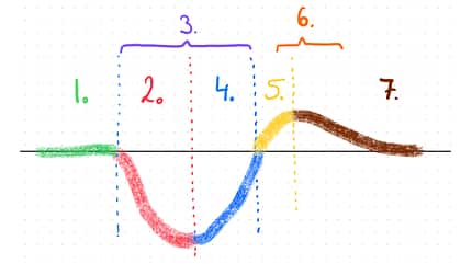 Die Phasen der Superkompensation Die Phasen der Superkompensation