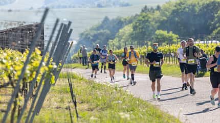 Heilbronner Trollinger Marathon Heilbronner Trollinger Marathon 2025