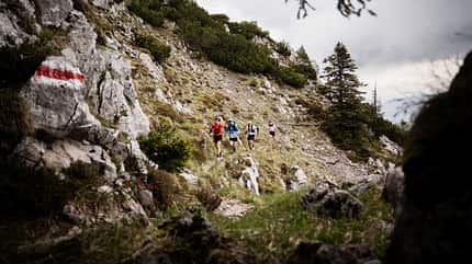 Alpenstadt City&Trail Bad Reichenhall Alpenstadt City&Trail Bad Reichenhall 2025