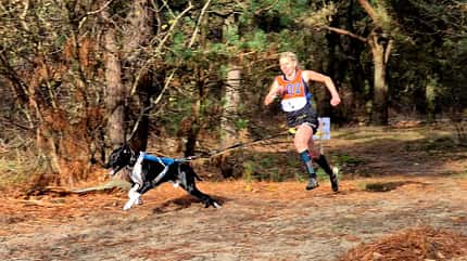 Nina Windhause mit ihrem Hund beim Canicross-Wettkampf Nina Windhause mit ihrem Hund beim Canicross-Wettkampf