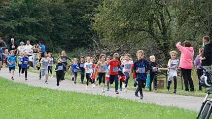 Night Run Gengenbach Night Run Gengenbach 2025