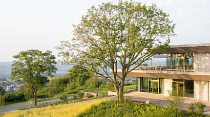 Hotel WALD.WEIT im Rheingau Hotel WALD.WEIT im Rheingau
