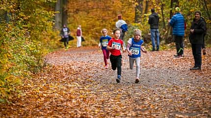 Behördenwaldlauf Offenbach 2025
