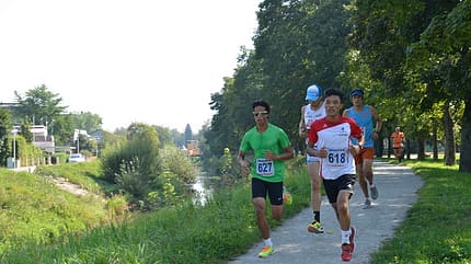 Trattnach-Uferlauf im Kurpark Bad Schallerbach: Entlang der Trattnach