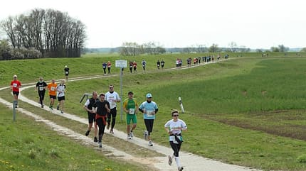 Tangermünder Elbdeichmarathon 2013 1 Tangermünder Elbdeichmarathon 2013 1