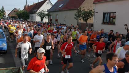 Asparaguslauf
