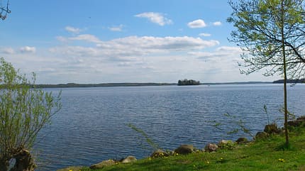 Lauf um den Plöner See und Marathon