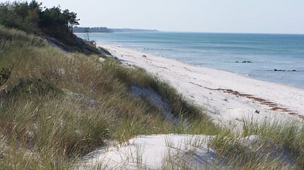 landmark--Zingst--Boddennationalpark