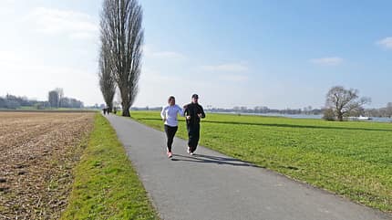 Rhein City Run Rhein City Run