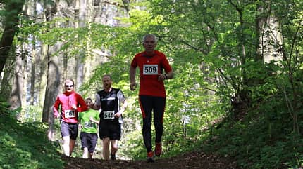 Finnelauf Billroda/Tauhardt: Durch die Wälder rund um Tauhardt Finnelauf Billroda/Tauhardt: Durch die Wälder rund um Tauhardt