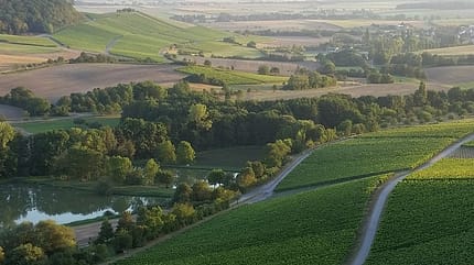 Panorama-Baumwipfel-Lauf Oberschwarzach: Traumhaftes Handthal