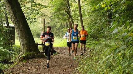 Pfälzer Wald Marathon 2015 Pfälzer Wald Marathon 2015