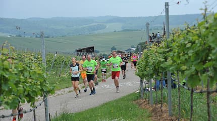 Trollinger-Marathon Heilbronn Trollinger-Marathon Heilbronn