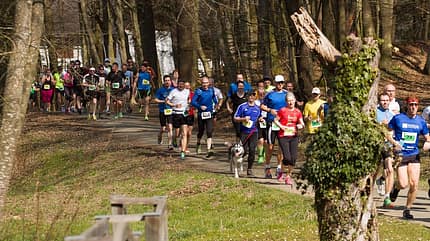 Auf der Strecke beim Vulkanland-Frühlingslauf
