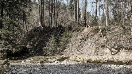 Leiblachlauf in Hergensweiler: Entlang der Leiblach Leiblachlauf in Hergensweiler: Entlang der Leiblach