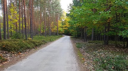 Strecke beim Třeboň-Marathon Strecke beim Třeboň-Marathon