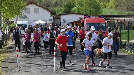 Start zum Biebergemünder Bürgerlauf