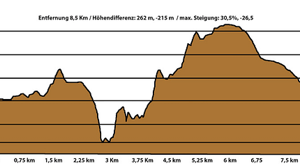 Ammer Trail Run Bad Bayersoien Höhenprofil 2016