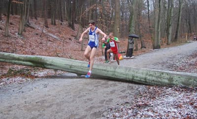Bergedorf-Cross 2015