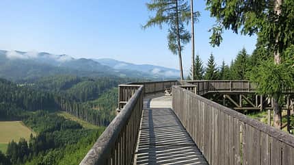 Der Wipfelwanderweglauf in St. Margarethen macht seinem Namen alle Ehre.