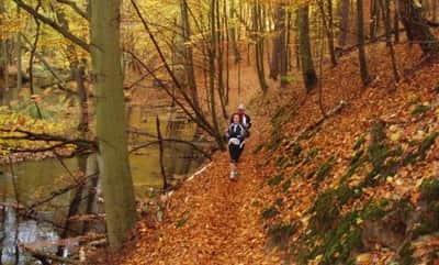 Schlaubetal Marathon Schlaubetal Marathon